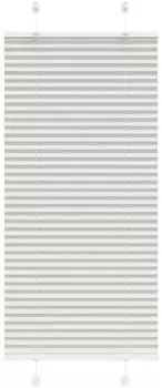 vidaXL Plissee hellgrau 60x100cm, Polyester (4015322)