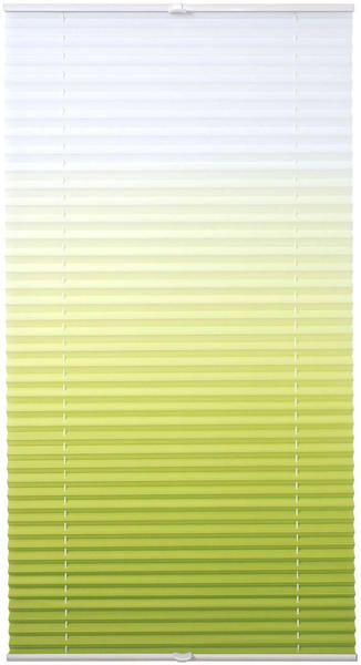 Lichtblick Plissee-Klemmfix Crush-Optik (45 x 130 cm) weiß/grün