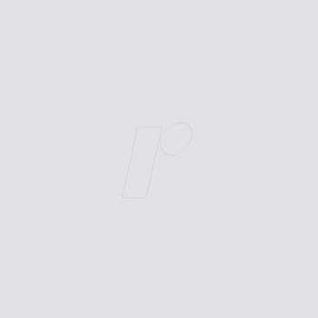 plottix Permanente Vinylfolie 31,5cmx1m transparent (PL0502031)