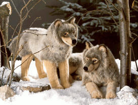 Kösener Wolf stehend 47 cm
