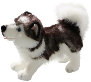 Carl Dick Husky stehend (3224)