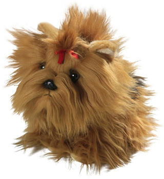 Carl Dick Yorkshire Terrier Welpe (3138)