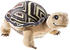 Heunec Schule der magischen Tiere Schildkröte Henrietta 16cm (620278)