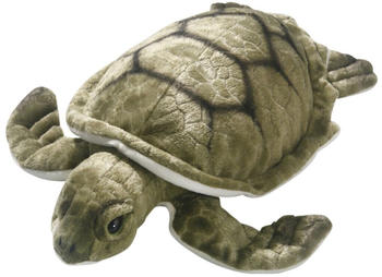 Carl Dick Schildkröte Meeresschildkröte Wasserschildkröte (3323)