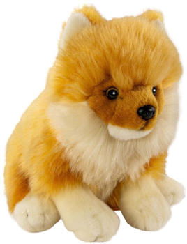 Carl Dick Zwergspitz Pomeranian Hund sitzend Hund (3557)