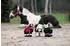 HKM Reitsport of Germany Cuddle Pony Stella (braun)