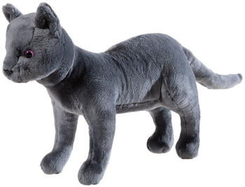 Heunec Schule der Magischen Tiere - Karajan, die Katze, 30cm