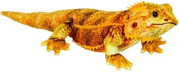 Die Spiegelburg Nature Zoom Wild - Bartagame 50cm