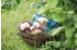 NICI Owlsons - Eule Oscar schlafend 25 cm