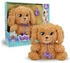 Labradoodle