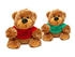 Teddys Rothenburg Bär mit grünem Shirt Gute Besserung 16 cm