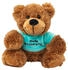 Teddys Rothenburg Bär mit grünem Shirt Gute Besserung 16 cm