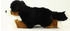 Teddys Rothenburg Berner Sennenhund liegend 45 cm