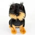 Teddys Rothenburg Rauhaardackel Waldi 28 cm