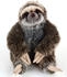 Teddys Rothenburg Faultier sitzend 26 cm