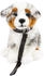 Teddys Rothenburg Australian Shepherd blue merle sitzend mit Leine 26 cm