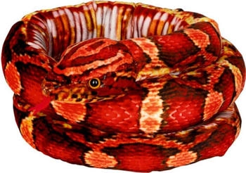 Die Spiegelburg Kornnatter - Natur Zoom Wild