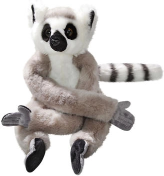 Carl Dick Katta Lemur mit Klett mit Klett an Hand und Fuß (3488)
