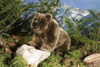 Kösener Bär auf vier Pfoten 32 cm