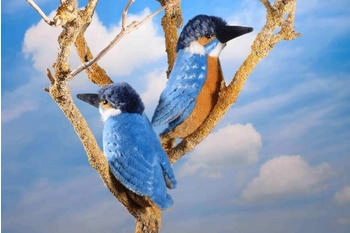 Kösener Eisvogel blau/orange 16 cm