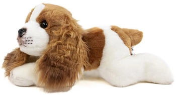 Teddys Rothenburg Kuscheltier Hund Cavalier 30 cm liegend braun/weiß Plüschhund