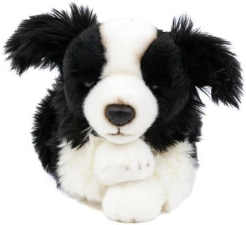 Teddys Rothenburg Kuscheltier Hund Border Collie 30 cm liegend schwarz/weiß Plüschhund
