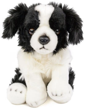 Teddys Rothenburg Kuscheltier Hund Border Collie 30 cm sitzend schwarz/weiß Plüschhund