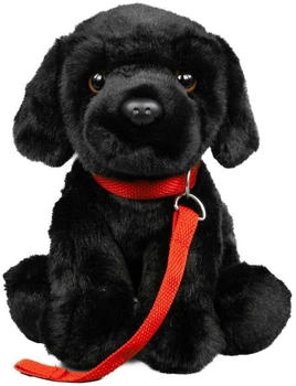 Teddys Rothenburg Kuscheltier Labrador + Leine sitzend schwarz 28 cm Plüschhund