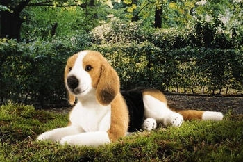 Kösener Beagle liegend 38 cm