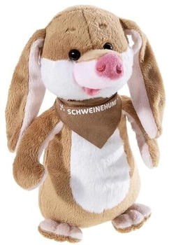 Heunec Fitness Freund Schweinehund