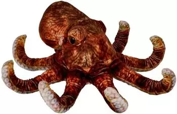 Die Spiegelburg Oktopus Nature Zoom Wild