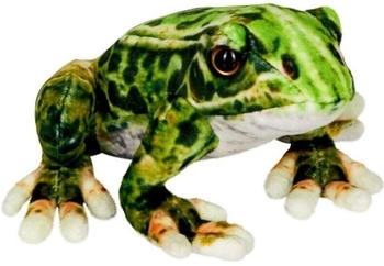 Coppenrath SPIEGELBURG Frosch Nature Zoom Wild