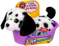 Moose Toys MS26651, Moose Toys Moose Mein Real Puppy Kleine Pepper 21 Cm (16 cm)