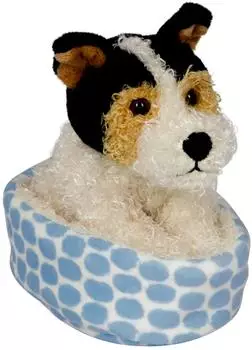 Coppenrath Foxterrier Boomer im Korb Lustige Tierparade