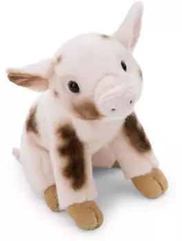 NICI Kuscheltier Schwein 20cm