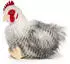 UNI-TOYS Henne, sitzend (ohne Ei) - 25 cm (Höhe) - Plüsch-Huhn, Vogel