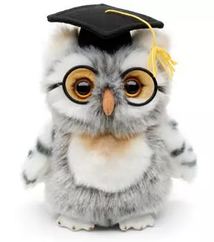 UNI-TOYS Eule (grau-wei&szlig;) mit Doktorhut und Brille 18 cm (H&ouml;he) - Pl&uuml;sch-Vogel