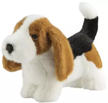Aurora Borealis Duke Basset Hound