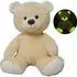 Vedes Großhandel GmbH Ware Amia Plüsch Teddy Glow in the dark, 40 cm