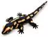 UNI-TOYS Feuersalamander 34 cm (Länge) - Plüsch-Salamander