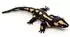 UNI-TOYS Feuersalamander 34 cm (Länge) - Plüsch-Salamander
