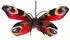 UNI-TOYS Schmetterling rot (mit Schlaufe) - 24 cm (Breite) - Plüsch-Insekt