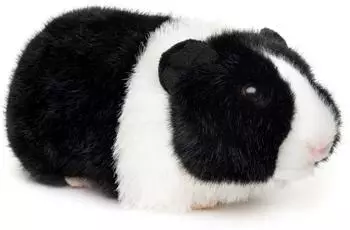 UNI-TOYS Meerschweinchen (schwarz-wei&szlig;) - 21 cm (L&auml;nge)
