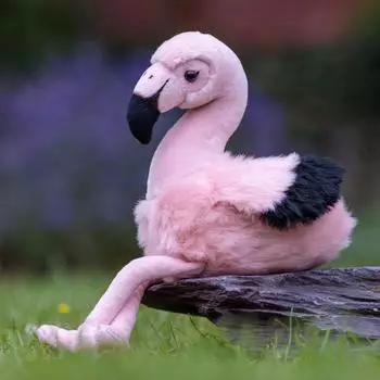 Tobar Animigos Pl&uuml;schtier Flamingo, realistisches Design, ca. 24cm (37243)