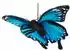 UNI-TOYS Schmetterling blau (mit Schlaufe) - 26 cm (Breite) - Plüsch-Insekt