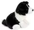 UNI-TOYS Border Collie, sitzend (ohne Leine) - 20 cm (Höhe) - Plüsch-Hund