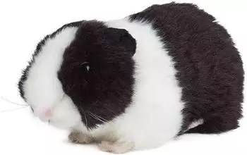Living Nature Kuscheltier Meerschweinchen schwarz 18cm
