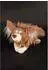 Sigikid Belle de Panthea Kuscheltier Hund BeastsTown (39924)