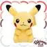 Pokémon Pokémon Fit Pikachu Go Plüschtier