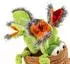 Sigikid Audrey O'more BeastsTown Kuscheltier (43643)